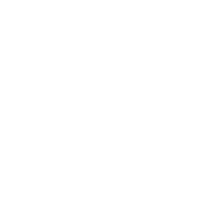 Radical Innovators